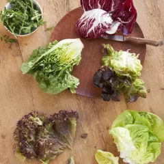 7 opciones saludables para incluir hojas verdes en tu dieta.