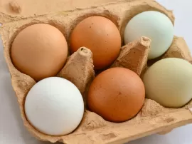Consejos para conservar los huevos cocidos en la nevera y su duración