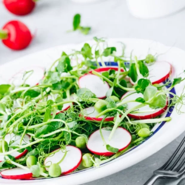 Dieta blanda vegetal: consejos y menú semanal para hacerla bien